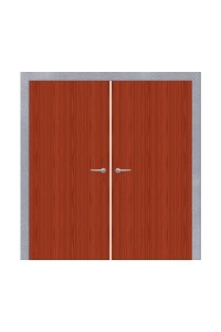 Double Wood Birch Door with Hollow Metal Frame