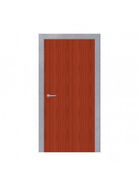 Single Wood Birch Door with Hollow Metal Frame